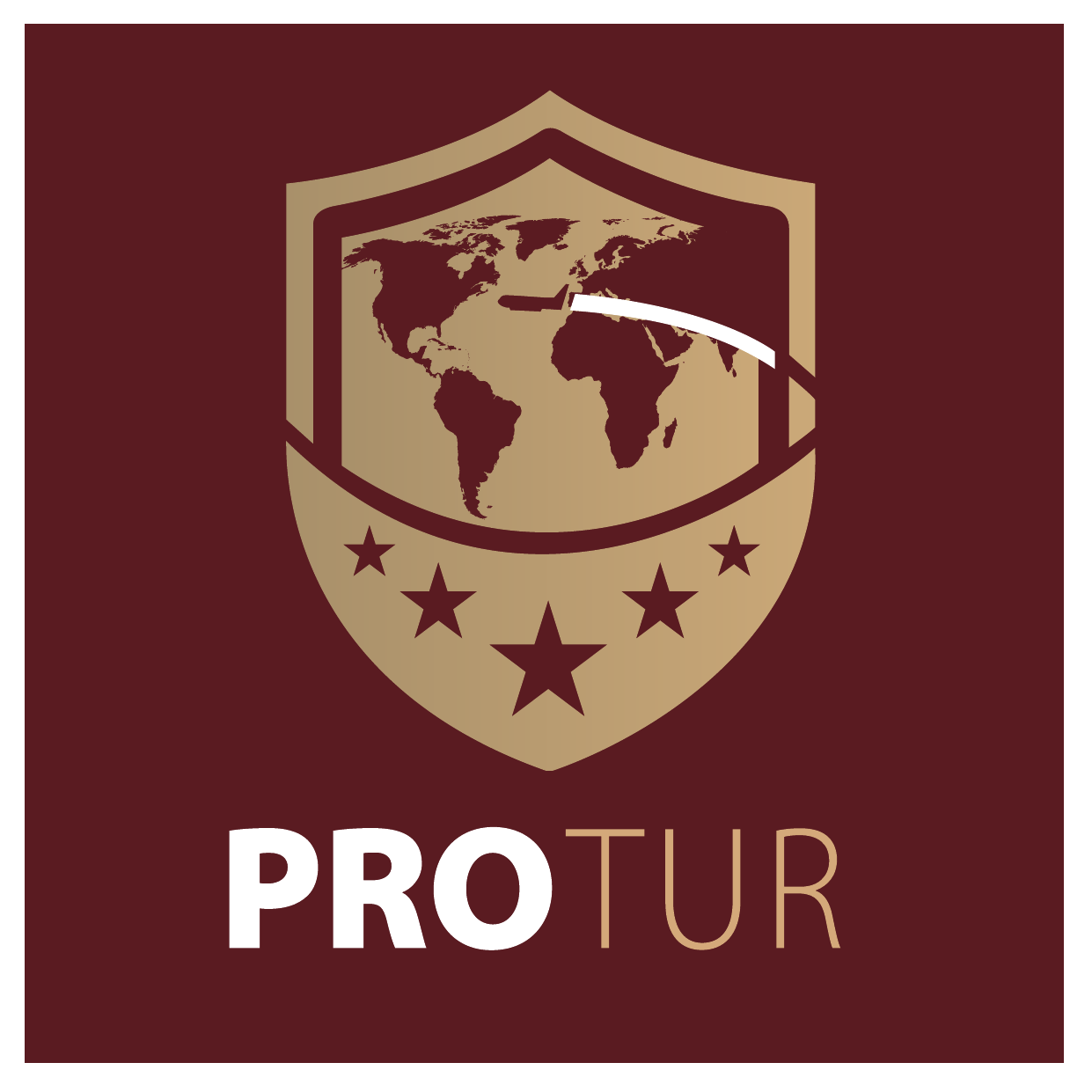 Protur Logo